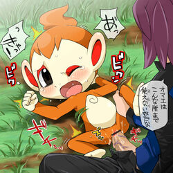 censored chimchar paul pokemon pokemon_(species) shinji_(pokemon) tagme