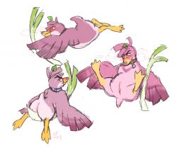 ambiguous_gender ass bird cloaca farfetch'd feral furry leafhoof pokémon_(species) pokemon solo