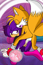 anal anal_impregnation ashley_the_hedgehog catrashley18 impregnation ovum pregnant sonic_(series) sonic_the_hedgehog_(series) tails