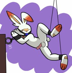 absurd_res aroused ball_gag balls bondage bondage bound circumcised darkwolf79 erection fur gag genitals hi_res lagomorph leporid male mammal nintendo penis pokémon_(species) pokemon rabbit scorbunny solo suspension video_games white_body white_fur