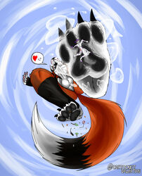 4_toes absurd_res anthro balls barefoot big_feet black_pawpads bodily_fluids canid canine claws closed_eyes crush cum cum_covered cum_drip cum_on_feet dark_claws dripping duo ejaculation erickredfox feet felid flattened foot_domination foot_fetish foot_focus foot_play fox fur genital_fluids genitals hair heart hi_res hindpaw larger_anthro larger_male macro macro_domination macro_focus male male/male mammal markings messy micro micro_on_macro nude owen_dalmatian_(cartoonistdalmatian) pantherine pawpads paws penis purple_claws purple_hair purple_markings raised_paw red_body red_fox red_fur redrick redrick_(erickredfox) size_difference smaller_anthro smaller_male stepped_on stepping stomping tiger toes traffic_light under_foot under_paws white_balls white_body white_fur