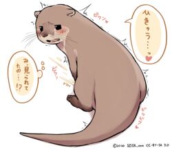 amaharu_kawausomaru blush bodily_fluids cum feral genital_fluids heart japanese_text lutrine male mammal masturbation mustelid open_mouth river_otter scp-jp scp_foundation simple_background solo soya_1st text translation_request whiskers white_background