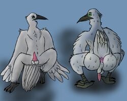 5:4 anthro anus ass avian balls big_butt bird bodily_fluids cilei crane_(bird) crouching feathered_wings feathers furry genitals green_eyes gruiform hi_res male male_only nauiho nude penis perineum saggy_balls simple_background solo spread_legs spreading sweat talons tapering_penis white_body white_feathers wings