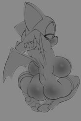 rouge the bat from sega by theboogie