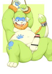 2021 anthro balls barontoko belly blue_body blush bound brown_body brown_fur canid canine canis domestic_dog dragon erection fur furry genitals green_body hi_res humanoid_genitalia humanoid_hands humanoid_penis hybrid kemono male male_only mammal navel overweight overweight_anthro overweight_male penis pento_(kamiyu) rope solo tongue tongue_out