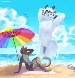 anthro beach beach_towel beach_umbrella cloud domestic_cat duo extreme_size_difference feet felid feline felis fur genitals hair macro male male_only mammal nude nude_anthro nude_male outside parasol pawpads paws penis sand sea seashell seaside shell size_difference sky smile stretching tail teamfurtress towel umbrella water wave