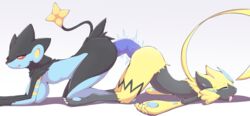 2021 anthro anthro_on_anthro ass ayzcube big_breasts big_butt breasts dildo double_dildo female female/female hi_res legendary_pokemon luxray masturbation nintendo open_mouth pokémon_(species) pokemon pokemon_(species) sex_toy tongue tongue_out toying_partner toying_self video_games yuri zeraora