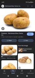 google potato tagme