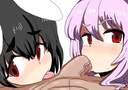 1boy 2girls black_hair blowjob bunny_ears fellatio hiro large_penis long_hair looking_at_viewer male_pov penis pov purple_hair red_eyes reisen_udongein_inaba short_hair tewi_inaba tongue tongue_out touhou