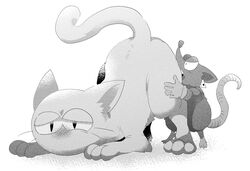 a_(pixiv) anthro anthro_on_feral ass_up blush digitigrade domestic_cat duo ear_tag felid feline felis feral greyscale heart_(mad_rat_dead) hi_res licking mad_rat_(character) mad_rat_dead male male/male male_only mammal monochrome murid murine oral rat rodent simple_background tongue tongue_out white_background zoophilia