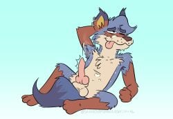 absurd_res anthro armpit_hair armpit_musk balls blue_body blue_fur bodily_fluids body_hair brown_body brown_fur canid canine canine_penis canis coyote cum cum_on_face ear_piercing ejaculation erection fur furry genital_fluids genitals hi_res knot knotted_penis looking_away male mammal orgasm penis piercing sitting solo srirachamander tail tongue tongue_out