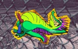 absurd_res alligator alligatorid anal anal_penetration animal_genitalia animal_penis anthro blush blush_lines bodily_fluids collage_(artwork) crocodilian crocodilian_penis femboy gay gay_anal gay_masturbation genital_fluids genitals green_body hairless_armpit hands_behind_head hi_res homosexual homosexual_male male male/male male_focus male_only male_penetrated musk musky_armpit penetration penis photo pink_spines precum reptile riding_toy scalie solo srirachamander teeth urban