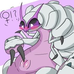 1:1 arthropod blush body_blush female feral gender_transformation generation_7_pokemon genitals golisopod hi_res mtf_transformation nintendo pink_body pokemon pokemon_(species) shrimp_in_a_cage solo transformation vulva vulva_blush white_body