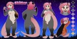 2026 absurd_res american_opossum anthro balls breasts character_name cosmic_background eyewear fur genitals glasses grey_body grey_fur gynomorph gynomorph_(lore) hair hi_res intersex mammal marsupial model_sheet multiple_images penis pink_hair round_glasses shy skitter_locklear small_breasts small_penis smile solo star starry_background tan_body tan_fur text trans_(lore) virginia_opossum weird_dog_thing