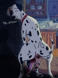 101_dalmatians animal_genitalia animal_penis anus balls bodily_fluids canid canine canine_penis canis collar cum dalmatian disney domestic_dog english_text feral fur genital_fluids genitals hi_res holidaypup knot male male_only mammal masturbation original_character penis red_collar solo spots spotted_balls spotted_body spotted_fur spotted_genitalia text