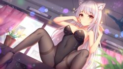 1girls black_dress cat_ears ceiling ceiling_fan curtains day dress girlgame indoors long_hair looking_at_viewer pantyhose pink_curtains plat potted_plant pretty_neko sitting sitting_on_desk sitting_on_table spread_legs sunlight white_hair window yellow_eyes