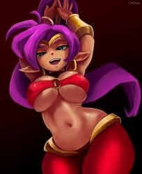 shantae (character) from shantae by cranihum