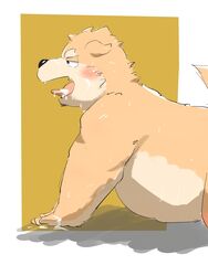 2021 3:4 anthro belly black_nose blush bodily_fluids canid canine canis cum cum_on_face cum_on_tongue domestic_dog furry genital_fluids hi_res kemono kipchin_2nd00 male mammal overweight overweight_anthro overweight_male solo tongue