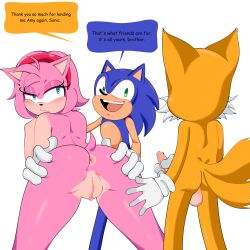 amy rose from sega by bowsettexx