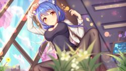 1girls big_breasts blue_hair blue_sky ceiling ceiling_light cherry_blossoms cloud day flower girlgame indoors long_hair looking_at_viewer plant pretty_neko skirt sky sparkles spread_legs stockings sunlight tree wall window yellow_eyes