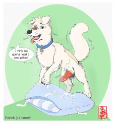 animal_genitalia animal_penis border canid canine canine_genitalia canine_penis canis domestic_dog ejaculation english_text fennec_(artist) feral genitals grinding hybrid knot male male_only mammal masturbation penis pillow pillow_humping pushok solo space_dogs text white_border