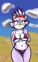 anthro beach big_breasts bikini blaze_the_cat breasts cleavage clothed clothing cloud domestic_cat felid feline felis female fur furry hair hi_res looking_at_viewer mammal open_mouth purple_body purple_fur seaside signature solo someth1ngoranother sonic_(series) sonic_the_hedgehog_(series) standing swimwear thick_thighs two_tone_fur watermark white_fur wide_hips yellow_eyes