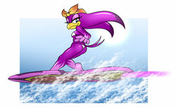 anthro ass avian bandana beak bedroom_eyes bikini bird breasts butt_pose clothed clothing female female_focus furry furry_only hirundinid hoverboard hyoumaru kerchief looking_at_viewer narrowed_eyes oscine passerine pose seductive sega solo sonic_(series) sonic_riders sonic_the_hedgehog_(series) surfboard surfing swallow_(bird) swimwear thighs water wave_the_swallow