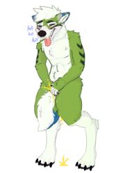 absurd_res anthro blue_body blue_fur blush bodily_fluids breath canid canine canis chevron_(marking) domestic_dog fur genital_fluids green_body green_fur half-closed_eyes hi_res husky male male_only mammal narrowed_eyes nordic_sled_dog nude omorashi panting peeing simple_background solo solo_focus spitz sweat tail_between_legs teeth tongue tongue_out toxic_soda urine urine_pool watersports wetting white_body white_fur zelenyy