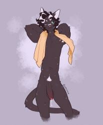2025 anthro armpit_hair balls black_balls black_body black_ears black_fur black_hair black_penis black_tail blush body_blush body_hair colored domestic_cat eyebrows facial_scar felid feline felis flaccid flat_colors foreskin fur genitals glans green_eyes green_sclera hair hands_behind_back hi_res humanoid_genitalia humanoid_penis male mammal multicolored_hair navel nerunaur nipples nude nude_male one_eye_closed penis penis_blush pink_glans pink_nipples pink_nose pubes scar signature simple_background slim slim_male solo spot_(noirzvault) standing tail towel towel_on_shoulder two_tone_hair unretracted_foreskin wet wet_body white_armpit_hair white_eyebrows white_hair white_inner_ear white_pubes