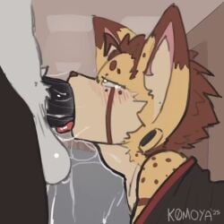 2d 2d_animation animated animation anthro deepthroat furry opennsfw opennsfwsp opennsfwsp_(sfx) opennsfwsp_(va) sound sound_effects tagme tagme_(artist) tagme_(character) tagme_(series) tagme_(source) throat_fuck video