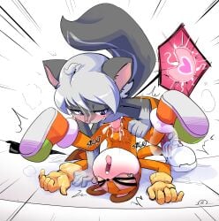 anthro anthro_on_anthro anthro_only anthro_penetrated anthro_penetrating_anthro blaski marine_the_raccoon sega sonic_(series) sonic_the_hedgehog_(series) tagme