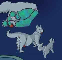 animal_genitalia animal_penis balls balls_inflation bladder_inflation blue_eyes boilingbismuth canid canine canine_genitalia canine_penis canis dripping duo feral fox fur genitals grey_body grey_fur hot_tub inflation internal male mammal orbeez penis rear_view water water_jet wolf