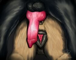 absurd_res aftermath anatomically_correct anatomically_correct_genitalia anatomically_correct_penis anatomically_correct_vulva animal_genitalia animal_penis animal_vulva anus backsack balls canid canine canine_genitalia canine_penis canine_vulva canis dogface domestic_dog duo female feral feral_on_feral flashlight genitals hi_res knot knotted_penis male male/female mammal offscreen_male penis vulva