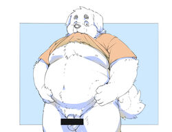 2021 anthro balls belly canid canine canis censored clothing domestic_dog furry genitals inunoshippo kemono male mammal moobs nipples overweight overweight_anthro overweight_male penis shirt solo topwear