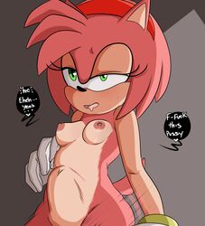 amy rose from sega by inuyuru