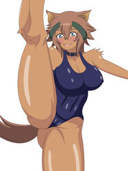 polt from monster musume no iru nichijou