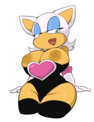 rouge the bat from sonic (series) by fufucatu