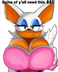 rouge the bat from sonic the hedgehog (series) by somethinsour