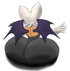 rouge the bat from sega by sonicdude645