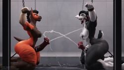 2025 2futas 3d angrydraconequus animated anthro black_fur black_hair bondage caprine chained chains cum cum_on_each_other cum_shower cumming_together cumshot curled_horns equine equine_penis excessive_cum fucking_machine fur furry futa_only futanari hooves horns horse horse_girl horsecock huge_cock leodamodeler marcia_(leodamodeler) mp4 new_year new_year_2026 no_sound orange_fur penis restrained restrained_arms sex_machine sex_toy sex_toy_insertion sheep sheep_girl stella_(leodamodeler) video year_of_the_horse