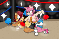 2girls amy_rose anthro anthro_only archie_comics big_breasts black_shorts blue_boxing_gloves blue_gloves blue_shorts blush bodily_fluids boxing boxing_gloves boxing_match boxing_ring breast_punch breasts brown_fur bruises catfight clenched_teeth clothed clothing curvy domination duo female female/female female_only fight fighting_ring forced furry hairband half-closed_eyes hi_res lactating light_blue_boxing_gloves light_blue_gloves light_skin nipples open_mouth pink_fur pink_hair pink_shoes red_boxing_gloves red_gloves red_hair red_hairband ryona sally_acorn sega shoes shorts sonic_(series) sonic_the_hedgehog_(archie) sonic_the_hedgehog_(comics) sonic_the_hedgehog_(series) sport tail teeth thick thick_hips thick_thighs tinydevilhorns topless topless_boxing white_shoes wide_hips yuri