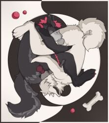 absurd_res anthro black_body black_fur butt canid canine canis domestic_dog duo facial_piercing fur genitals hair hi_res kazarart leg_grab lip_piercing male male/male mammal nordic_sled_dog nose_piercing nose_ring nude oral oral_only paws penis piercing pink_hair ring_piercing samoyed sex simple_background spitz tail toy white_body white_fur wolf yin_yang