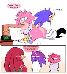 amy rose from sonic (series) by quavernsfw