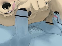 Booru post from rule34.xxx