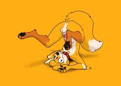 absurd_res animal_genitalia animal_penis anthro anus autofellatio balls balls_blush barely_visible_anus barely_visible_genitalia barely_visible_penis blush body_blush butt canid canine canine_genitalia canine_penis canis chris_(raposanaranja) collar erection fluffy fluffy_balls fluffy_tail foreshortening fox fur genitals hi_res knot looking_at_viewer male mammal markings masturbation nude oral oral_masturbation orange_body orange_fur paws penile penile_masturbation penis presenting raised_paw raposanaranja red_penis sheath simple_background smile solo tail tan_body tan_fur teasing tongue tongue_out upside_down whiskers