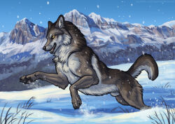 animal_genitalia black_claws black_nose black_pawpads brown_body brown_fur brown_tail canid canine canis cheek_tuft claws day facial_tuft fangs feral fully_sheathed fur genitals glistening glistening_eyes grey_body grey_fur happy heatherwolf hi_res male male_feral mammal mountain neck_tuft open_mouth outside pawpads playful sheath side_view snow snowing solo tail teeth text tuft url whiskers white_body white_fur white_tail wolf yellow_eyes
