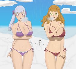 2girls arm_behind_back arm_holding bikini bikini_bottom bikini_top black_clover breasts breath_cloud cleavage cold cousins female female_only front_view green_eyes hairbow hourglass_figure large_breasts long_hair looking_at_viewer mimosa_vermillion mufifa multiple_girls noelle_silva open_mouth orange_hair partially_clothed purple_bikini purple_bikini_bottom purple_bikini_top purple_eyes red_bikini red_bikini_bottom red_bikini_top shaking shivering silver_hair snow snowman thick_thighs thigh_gap thighs twintails wide_hips