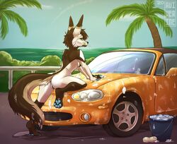 absurdres anthro aviverine canid canine car female fennec fox furry highres kras_(aviverine) mammal mazda mazda_miata mazda_mx-5 miata solo vehicle