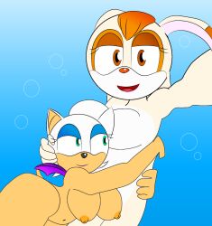 2girls adults anthro anthropomorphic art_trade bat completely_naked digital_art female females furry interspecies looking_at_viewer mobian naked nipples nude ocean rabbit rouge_the_bat sea sega sonic_(series) sonic_the_hedgehog_(series) sonicgalaxy27 underwater vanilla_the_rabbit water