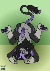 Booru post from rule34.xxx